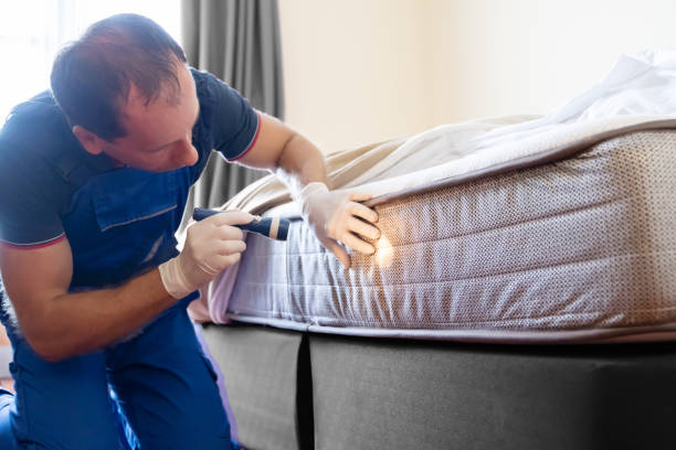 Best Fumigation Services  in Burns, TN